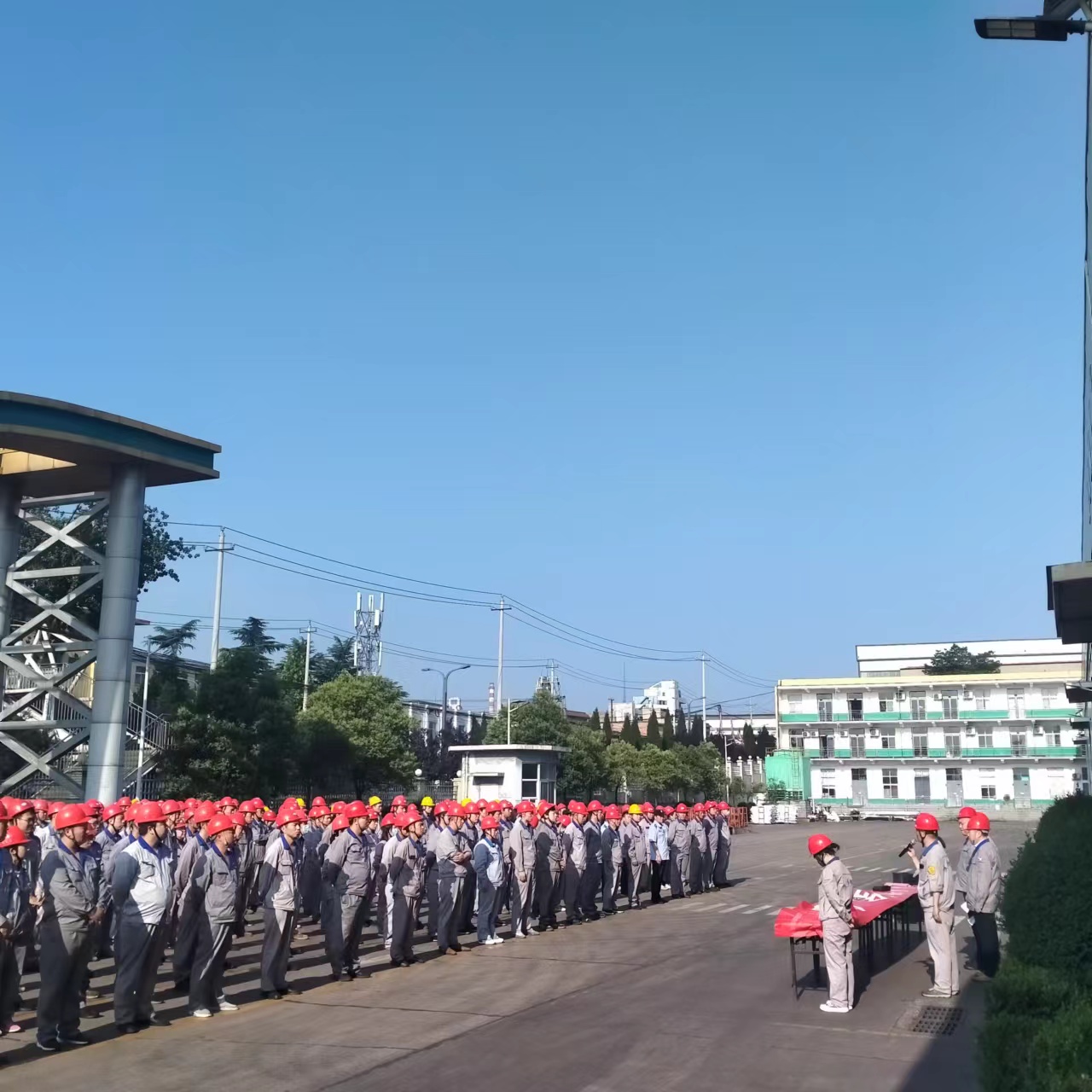 1685672739463361.jpg 2.jpg